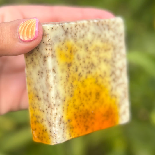 Sweet Orange Soap with Coconut Scrub