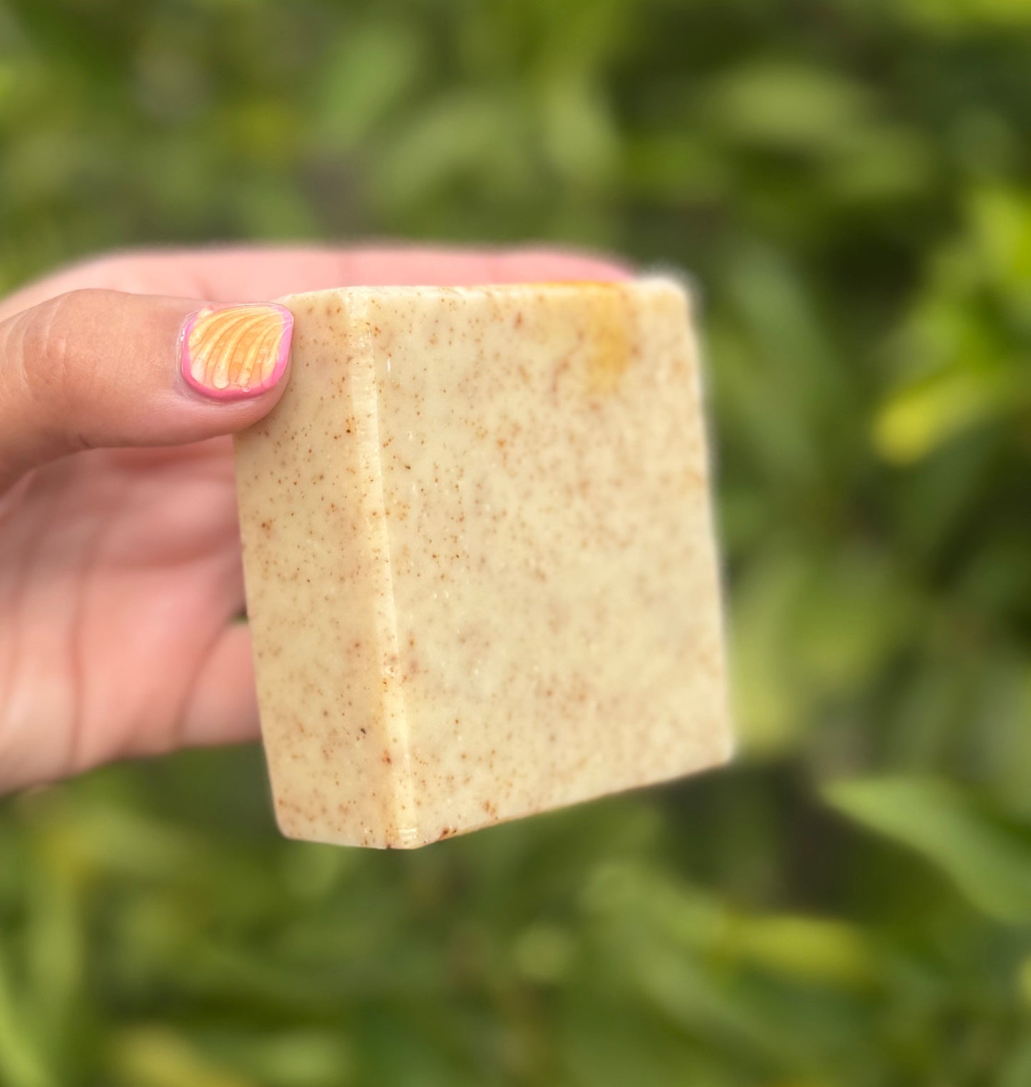Coconut Soap with Walnut Scrub