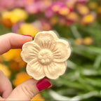 Shower Steamer (with Menthol)