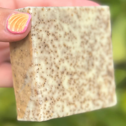 Vanilla Almond Soap with Coconut Scrub