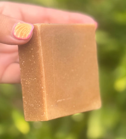 Coconut Soap with Apricot Scrub